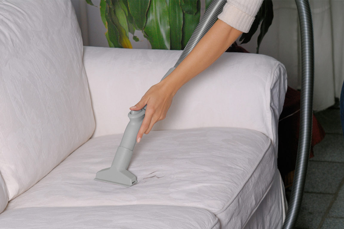 How To Get Rid of Pet Smells Medklinn Malaysia